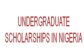 undergraduate scholarship in nigeria