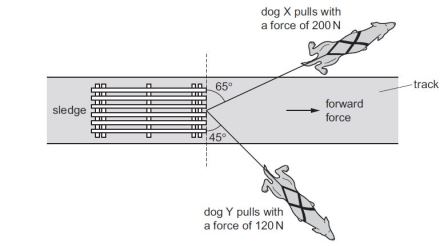 Question on forces