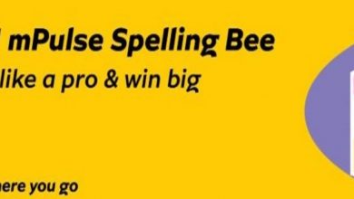 mtn spelling bee