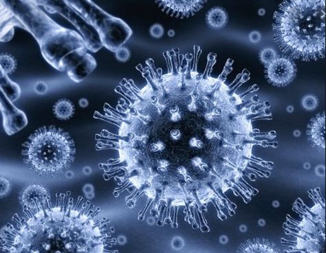 function of microbiologist and mls