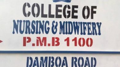 college of nursing and midwifery maiduguri