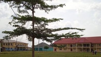 ebonyi state college of health technology