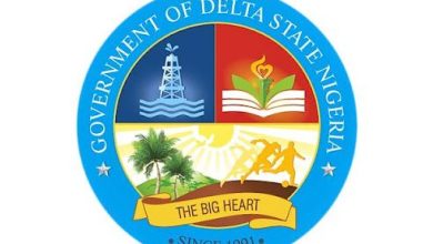 delta state logo