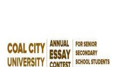 coal city university essay