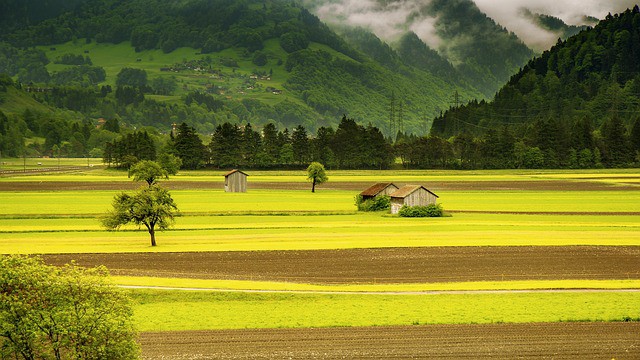 rural urban migration