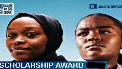 julius berger scholarship