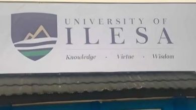 university of ilesa logo