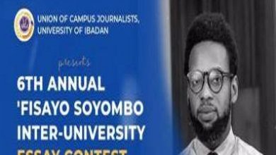 fisayo soyombo essay competition