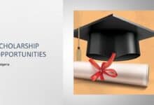 scholarship tips in nigeria